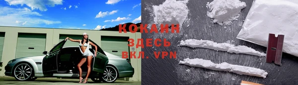 твердый Заводоуковск