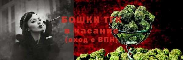 твердый Заводоуковск