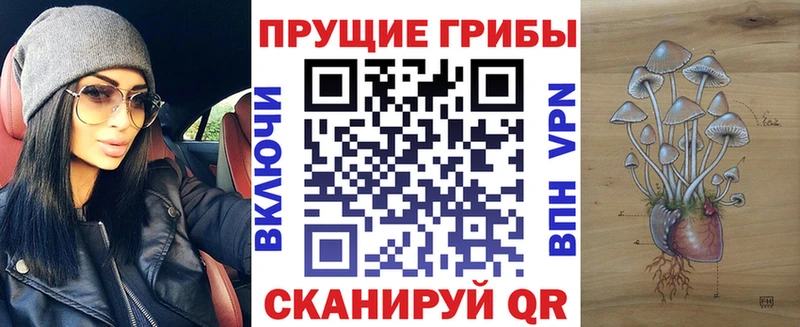Купить где  Ува  Галлюциногенные грибы Magic Shrooms 